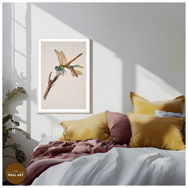 DRAGONFLY I