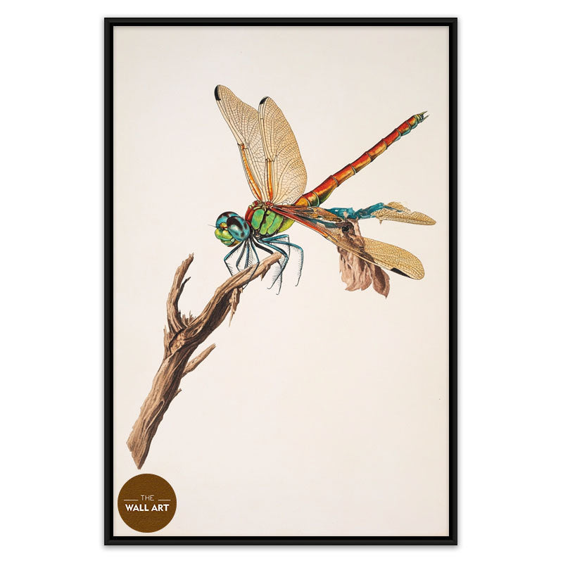 DRAGONFLY I