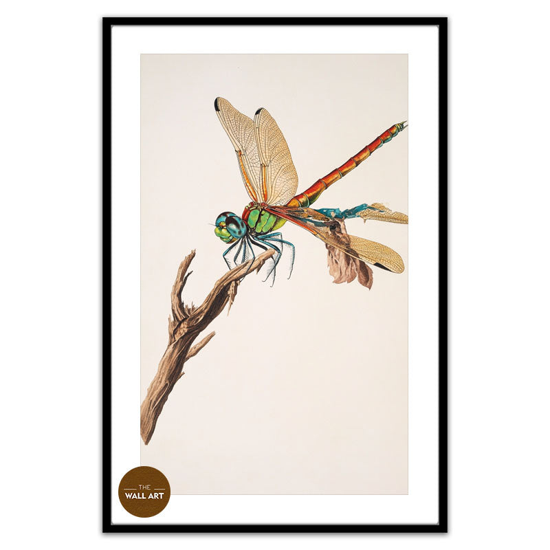 DRAGONFLY I