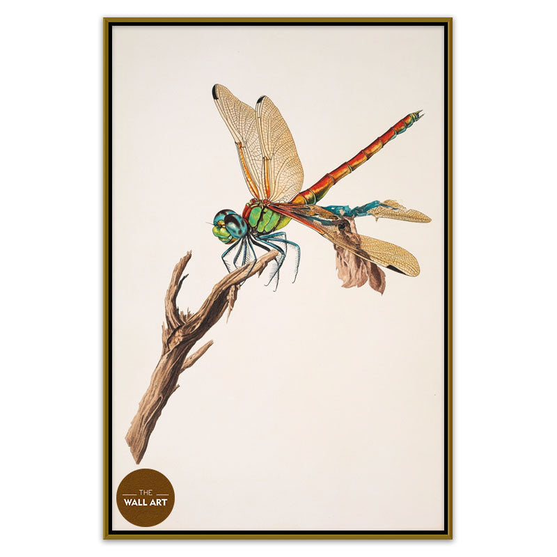 DRAGONFLY I
