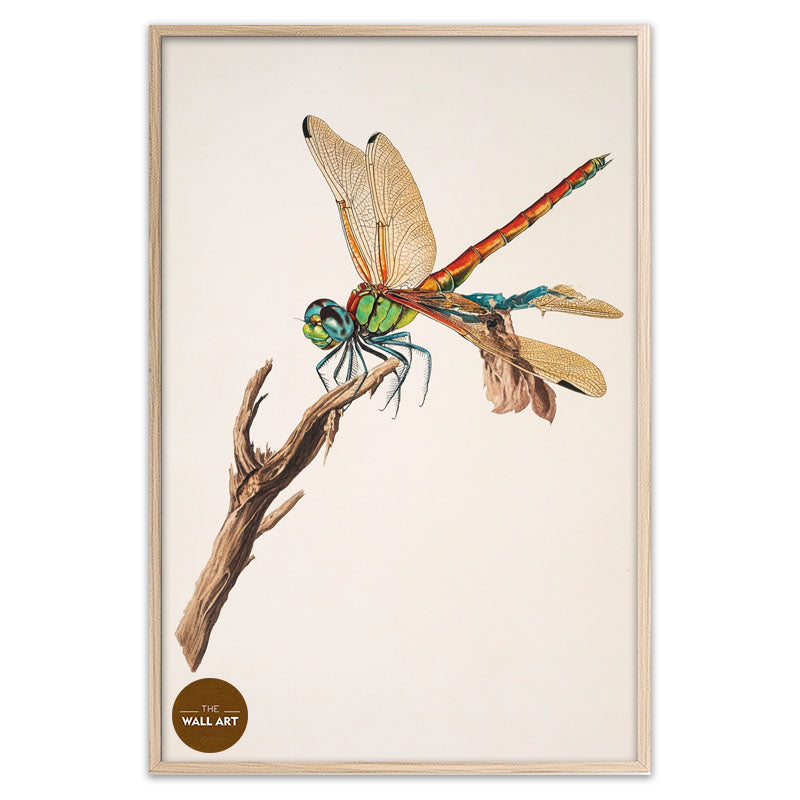 DRAGONFLY I