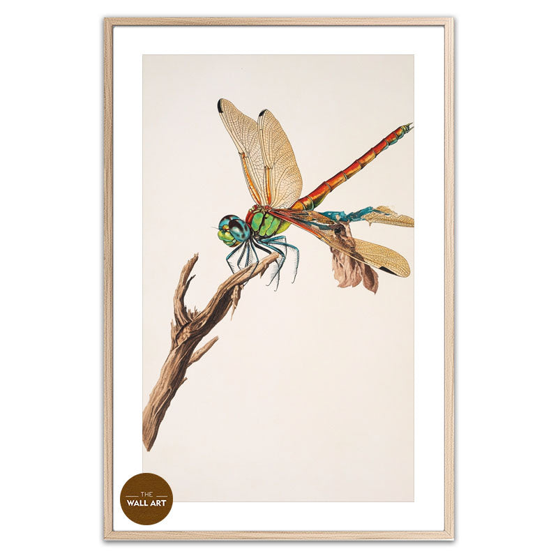 DRAGONFLY I