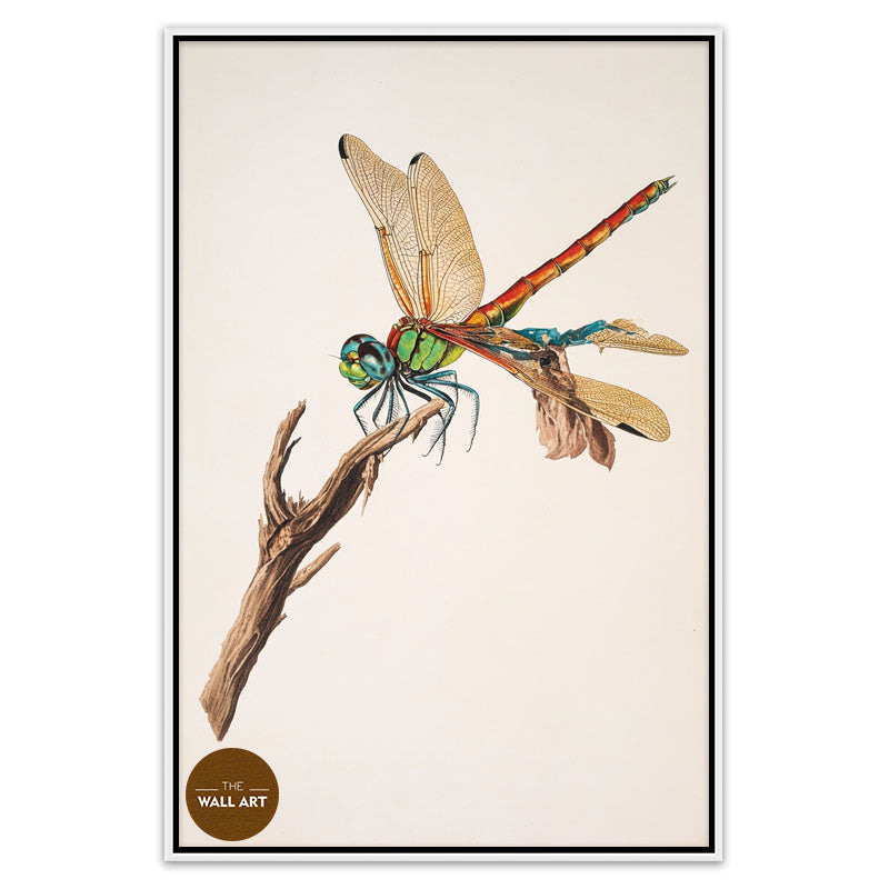 DRAGONFLY I