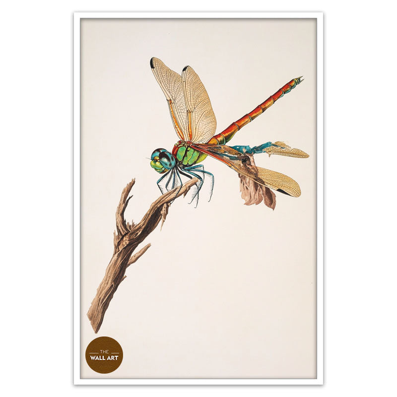 DRAGONFLY I
