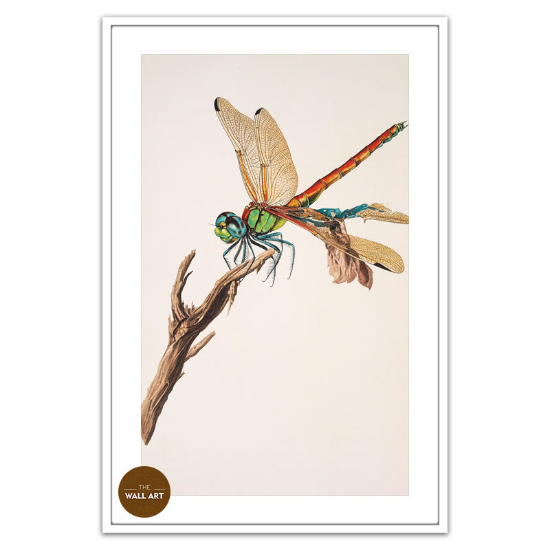 DRAGONFLY I