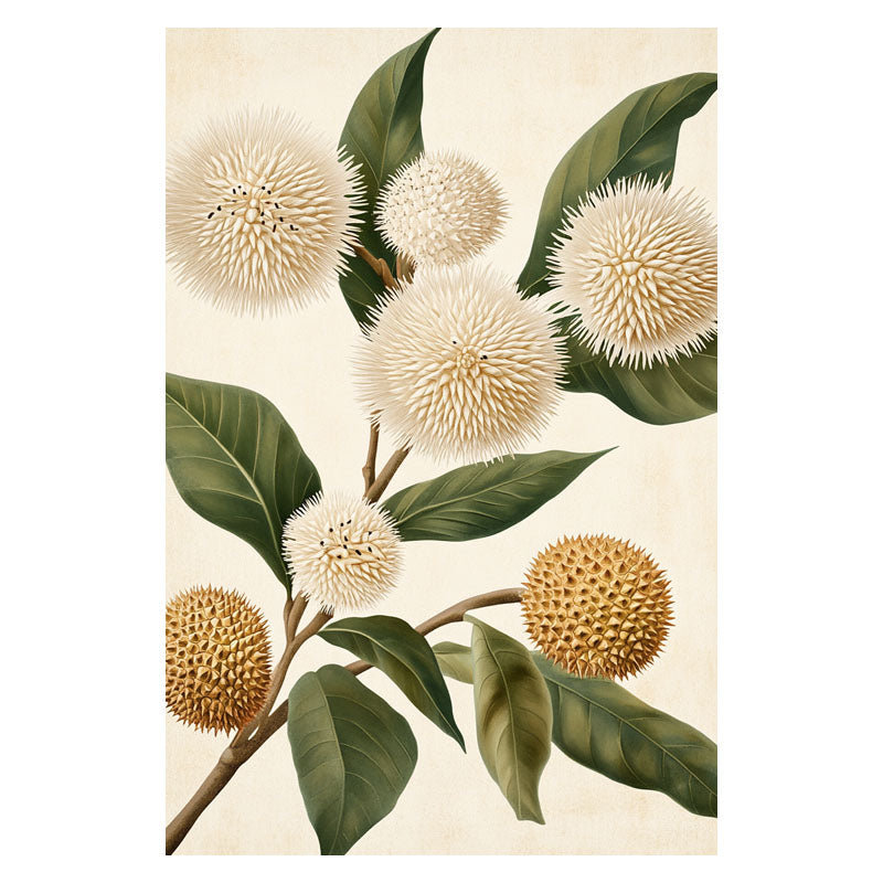 DURIAN FLOWERS III