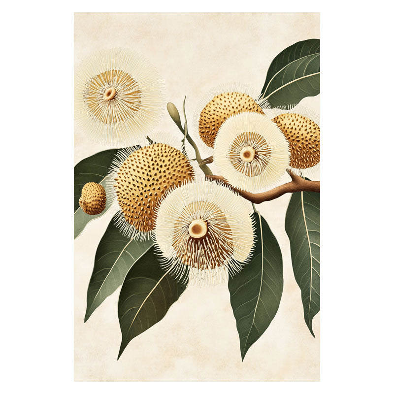 DURIAN FLOWERS II