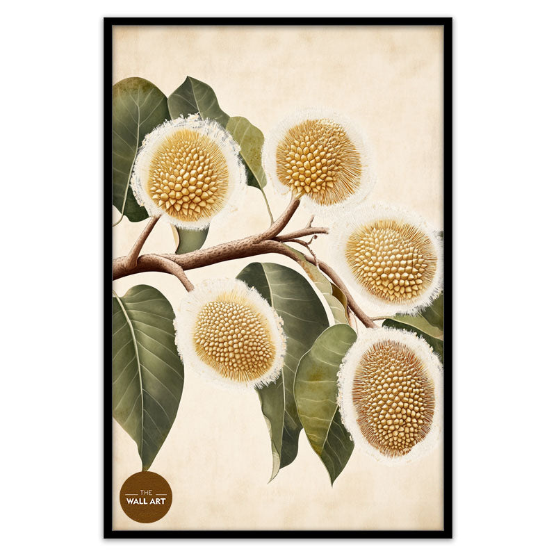 DURIAN FLOWERS IV