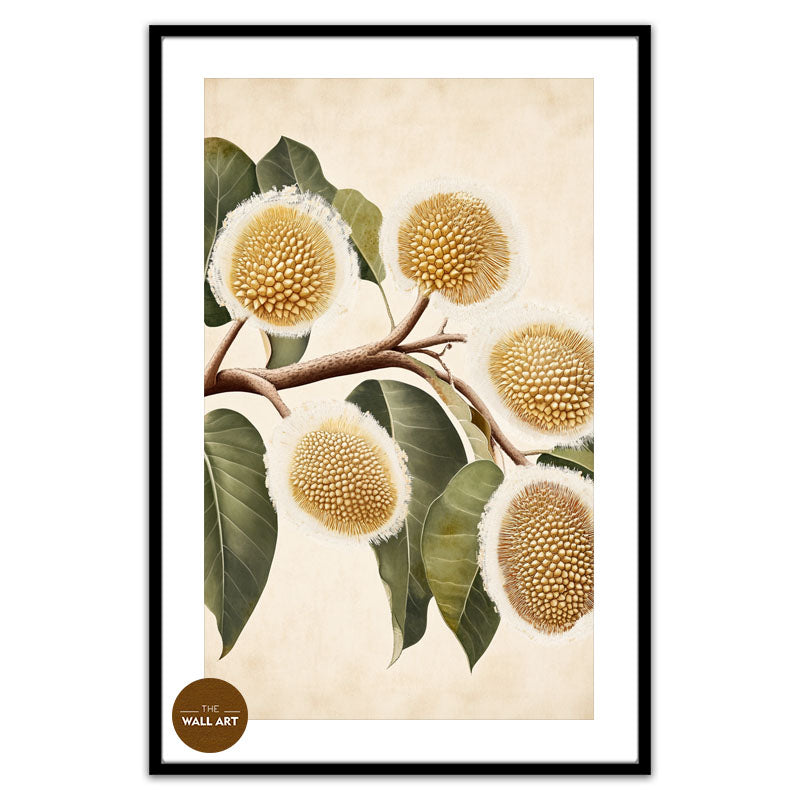 DURIAN FLOWERS IV