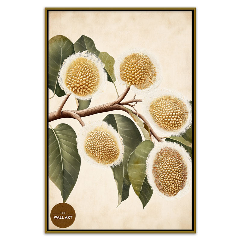 DURIAN FLOWERS IV