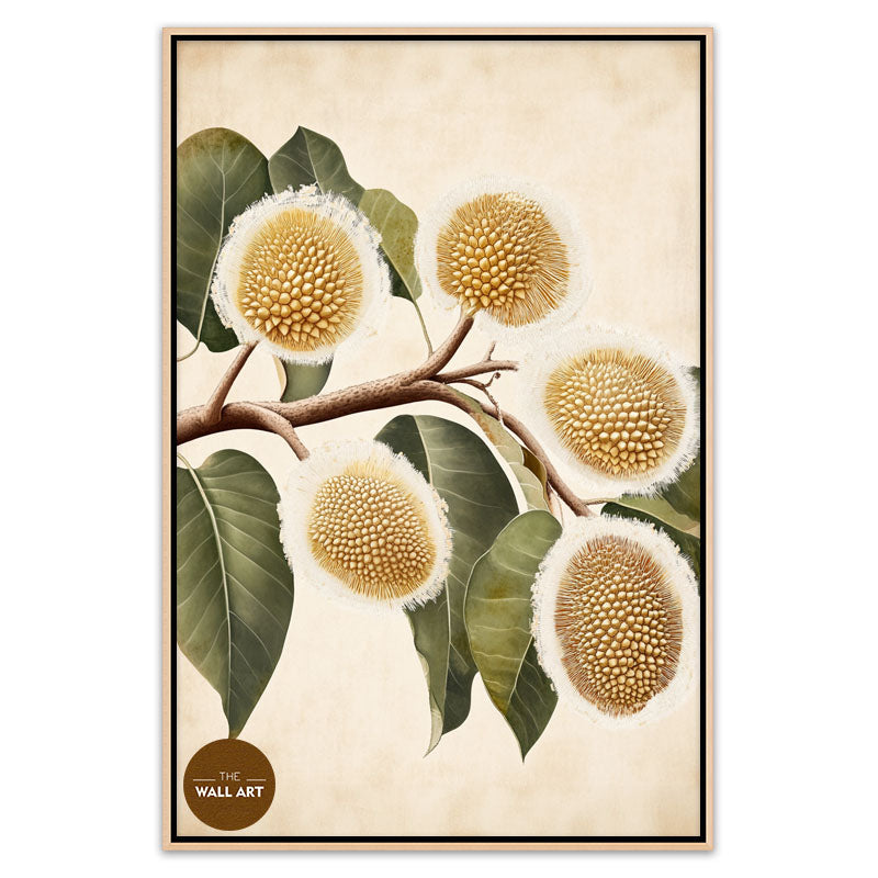 DURIAN FLOWERS IV