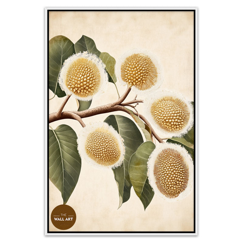 DURIAN FLOWERS IV