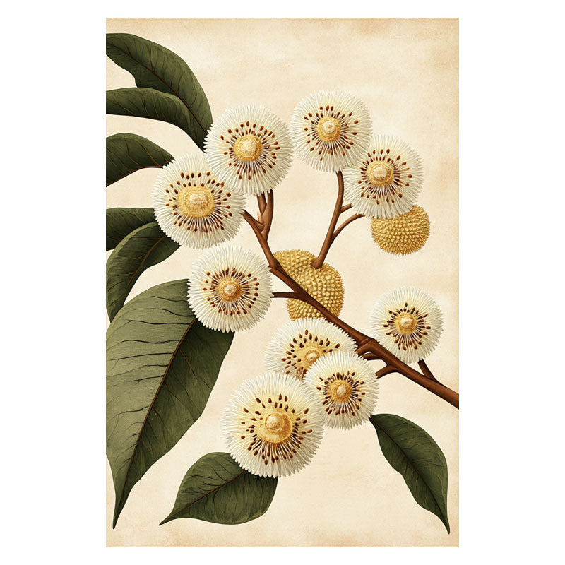DURIAN FLOWERS I