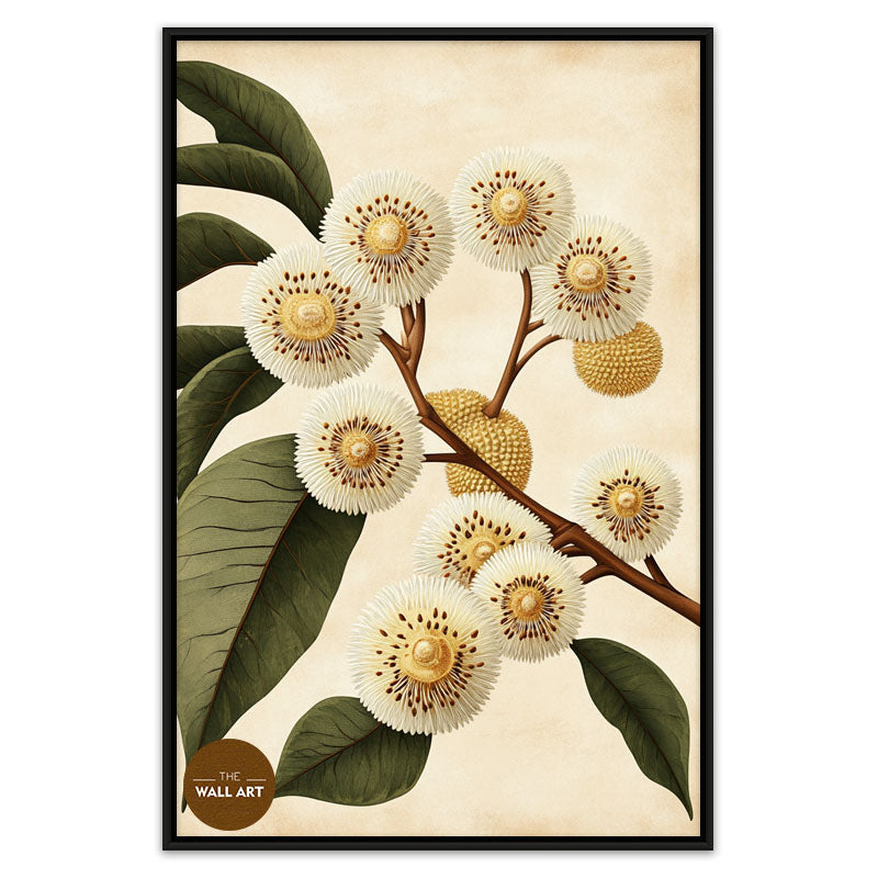 DURIAN FLOWERS I