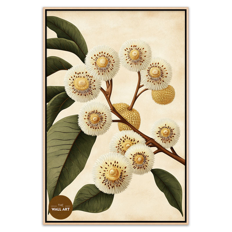 DURIAN FLOWERS I