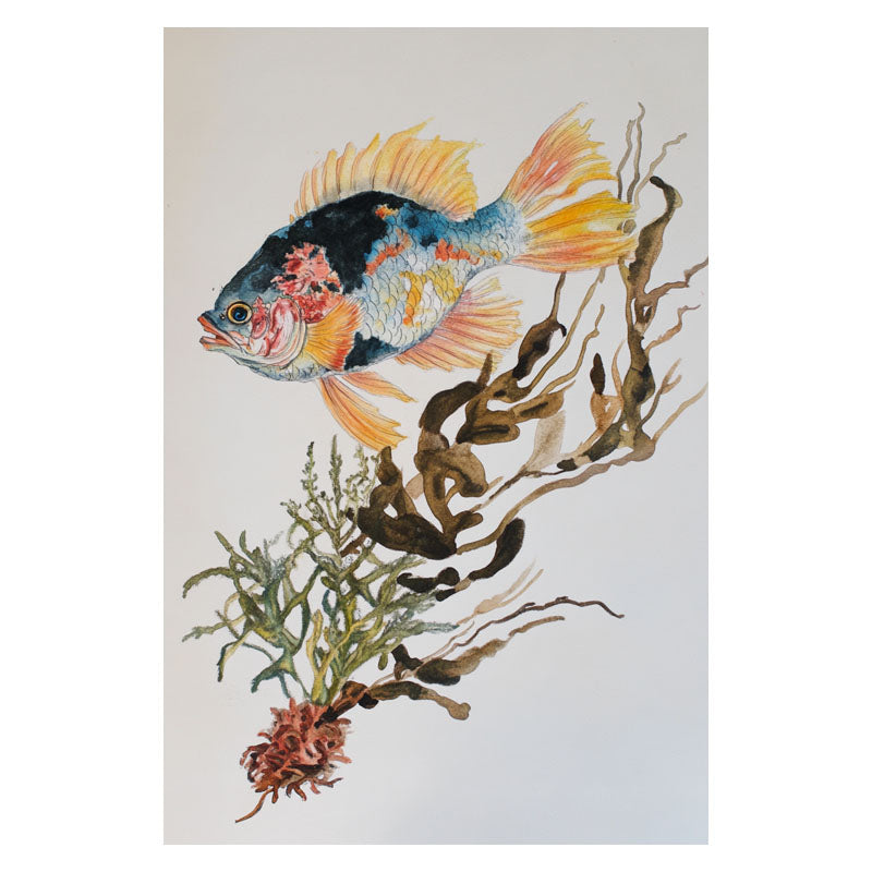 FISH IN SEAWEED I
