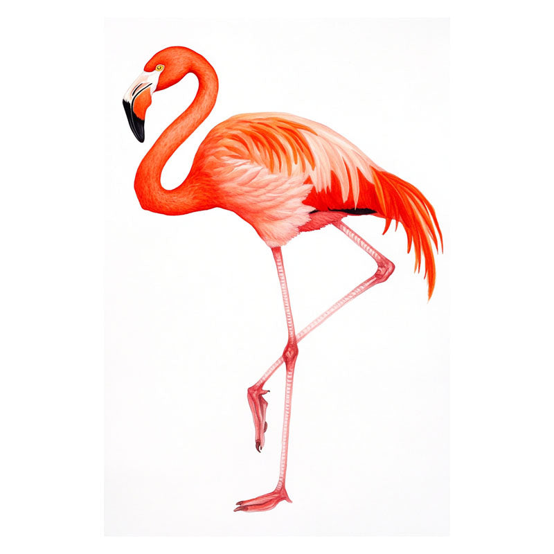 FLEMINGO III