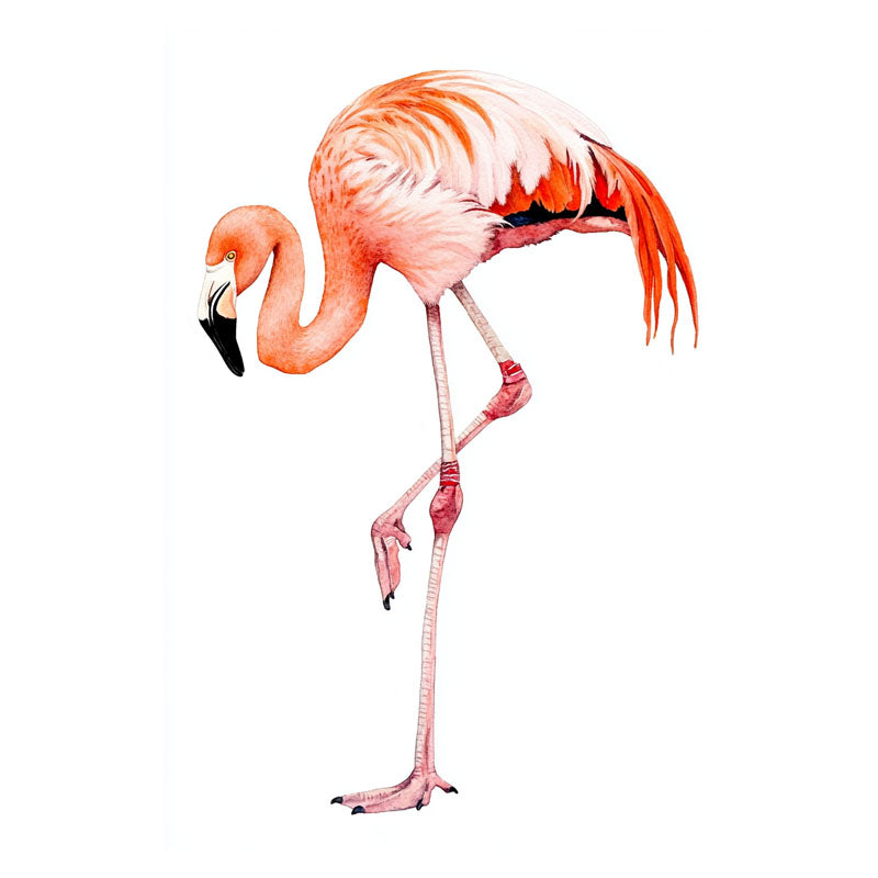 FLEMINGO I