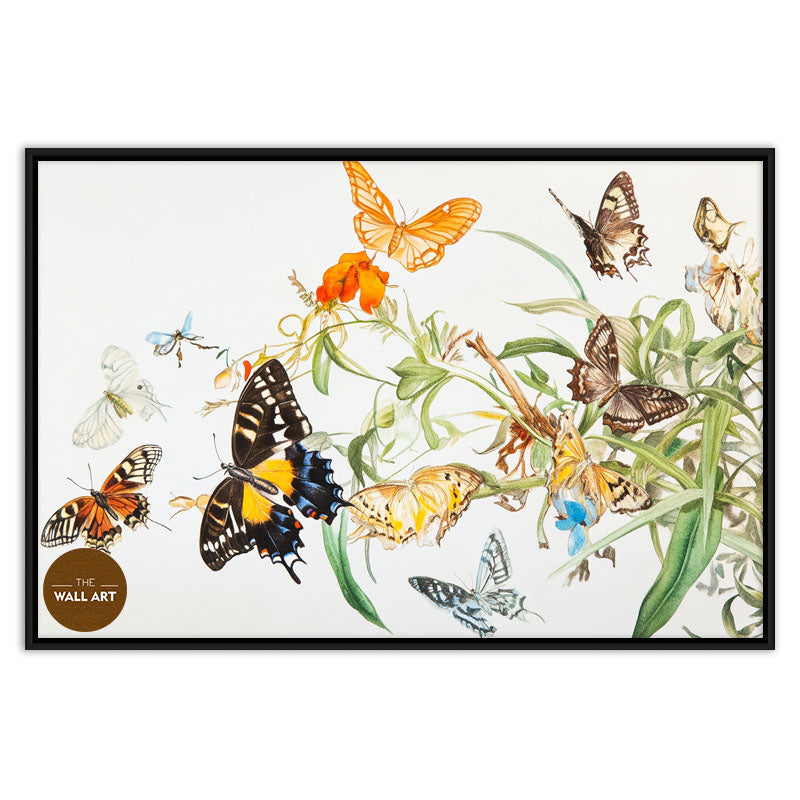 FLOCK OF BUTTERFLY III
