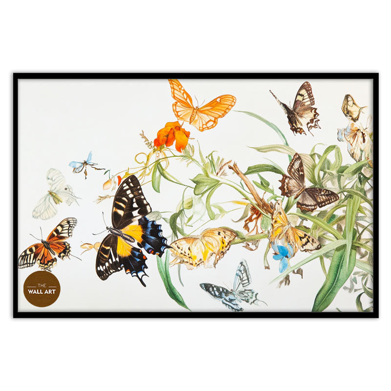 FLOCK OF BUTTERFLY III