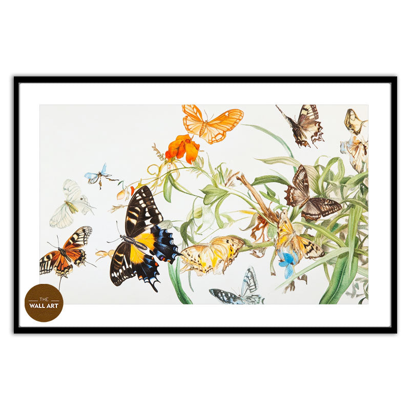 FLOCK OF BUTTERFLY III