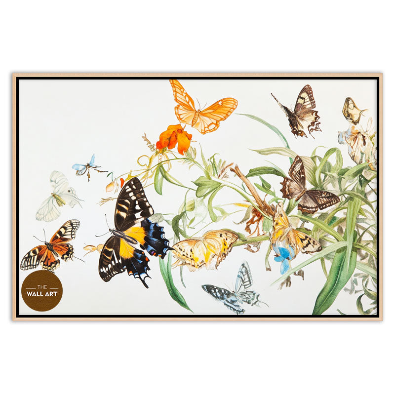 FLOCK OF BUTTERFLY III