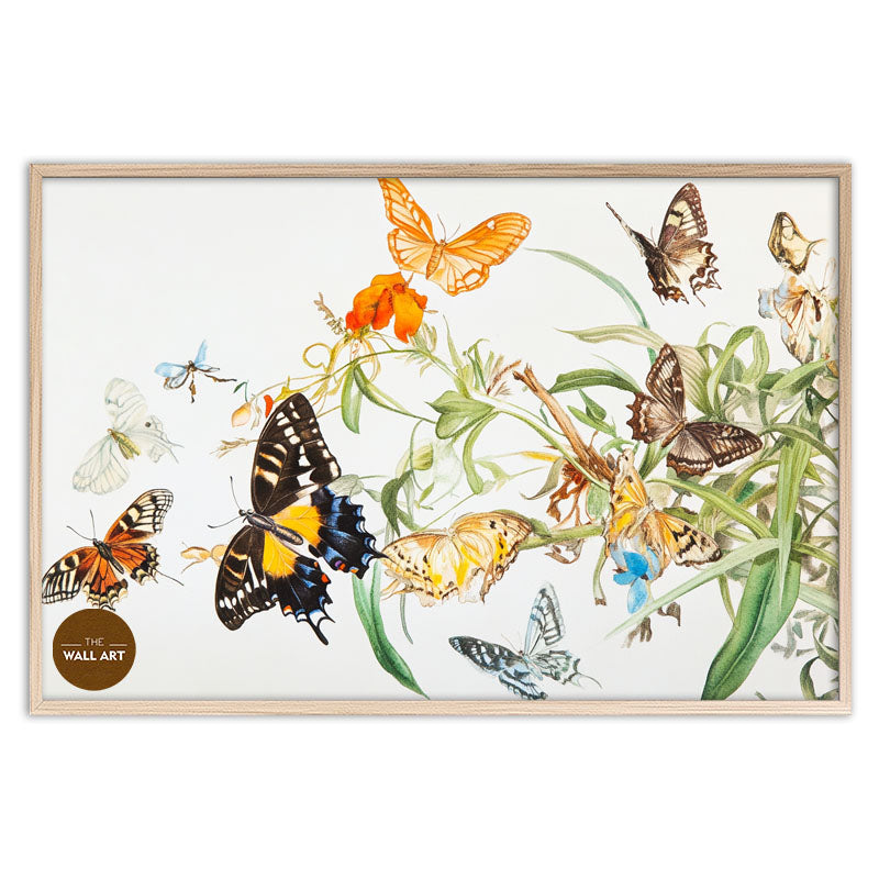 FLOCK OF BUTTERFLY III