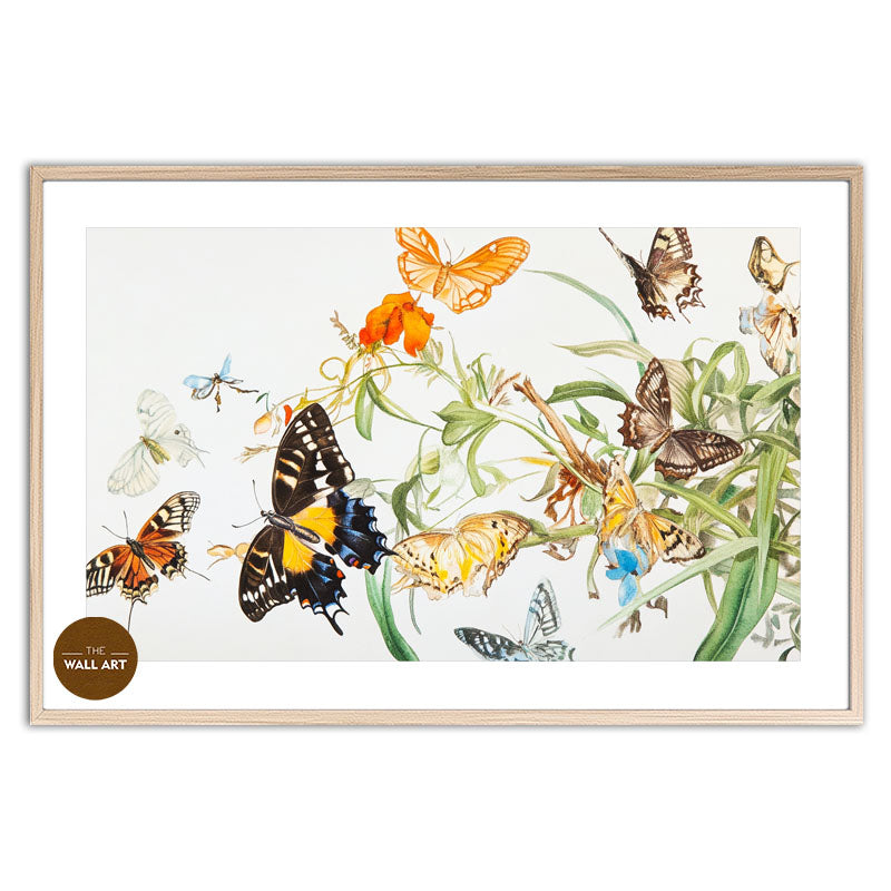 FLOCK OF BUTTERFLY III