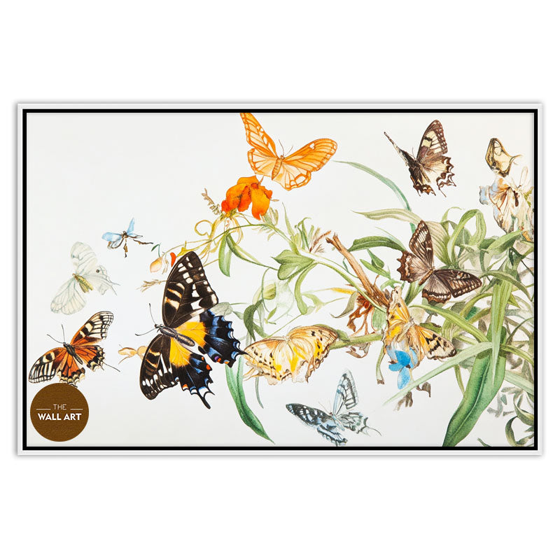 FLOCK OF BUTTERFLY III