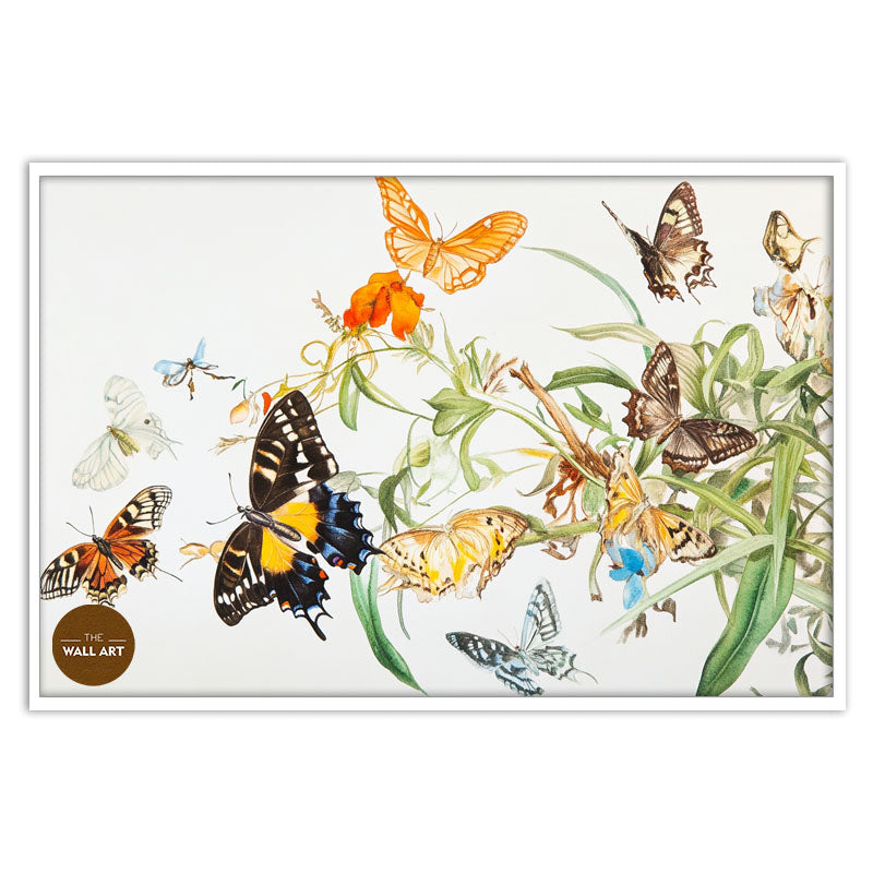 FLOCK OF BUTTERFLY III