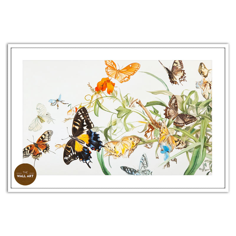 FLOCK OF BUTTERFLY III