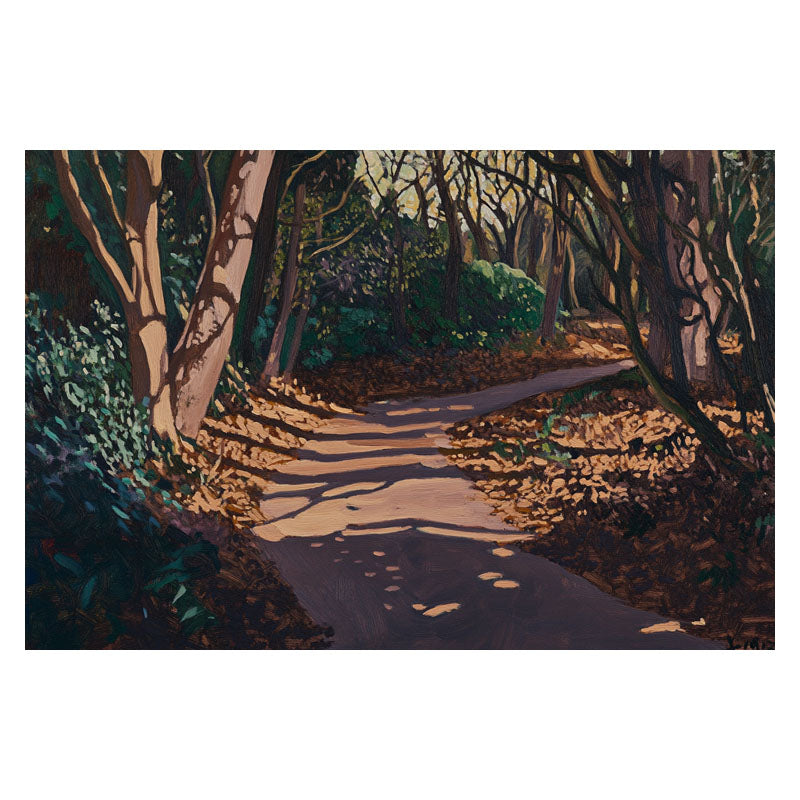 FOREST ROAD