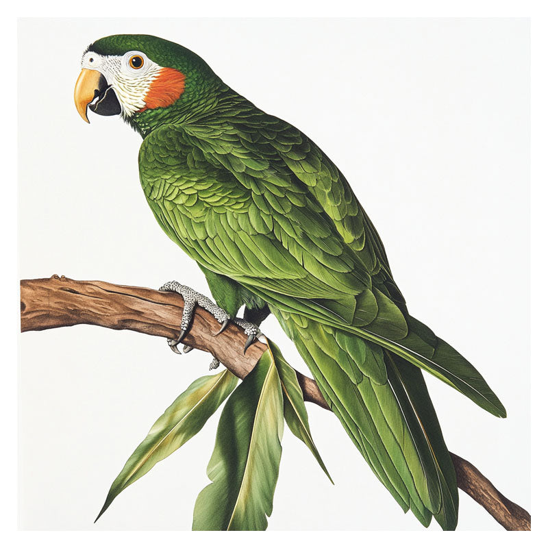 GREEN PARROT ON BRANCH