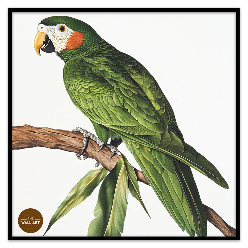 GREEN PARROT ON BRANCH
