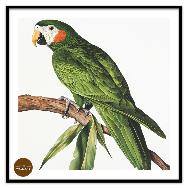 GREEN PARROT ON BRANCH