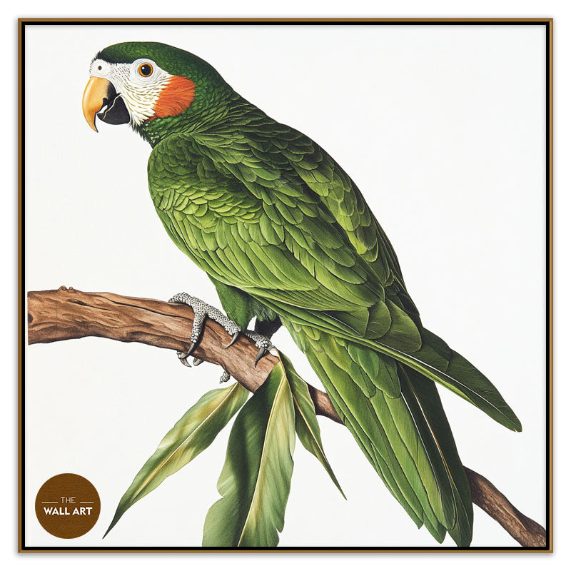 GREEN PARROT ON BRANCH