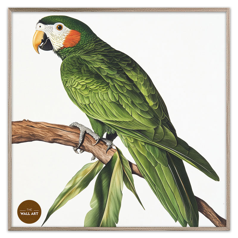 GREEN PARROT ON BRANCH