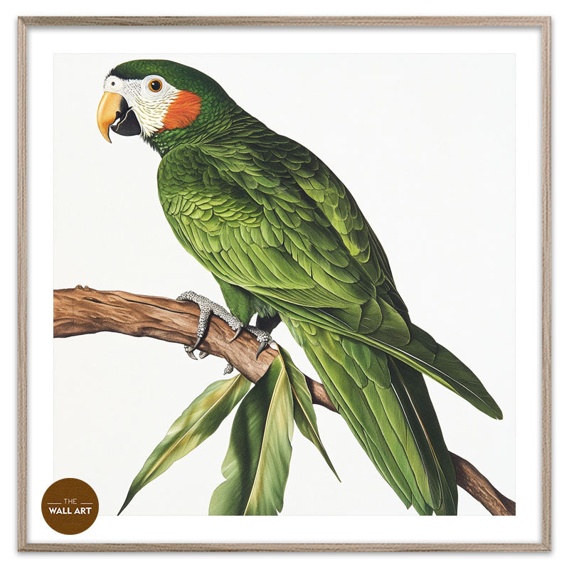 GREEN PARROT ON BRANCH