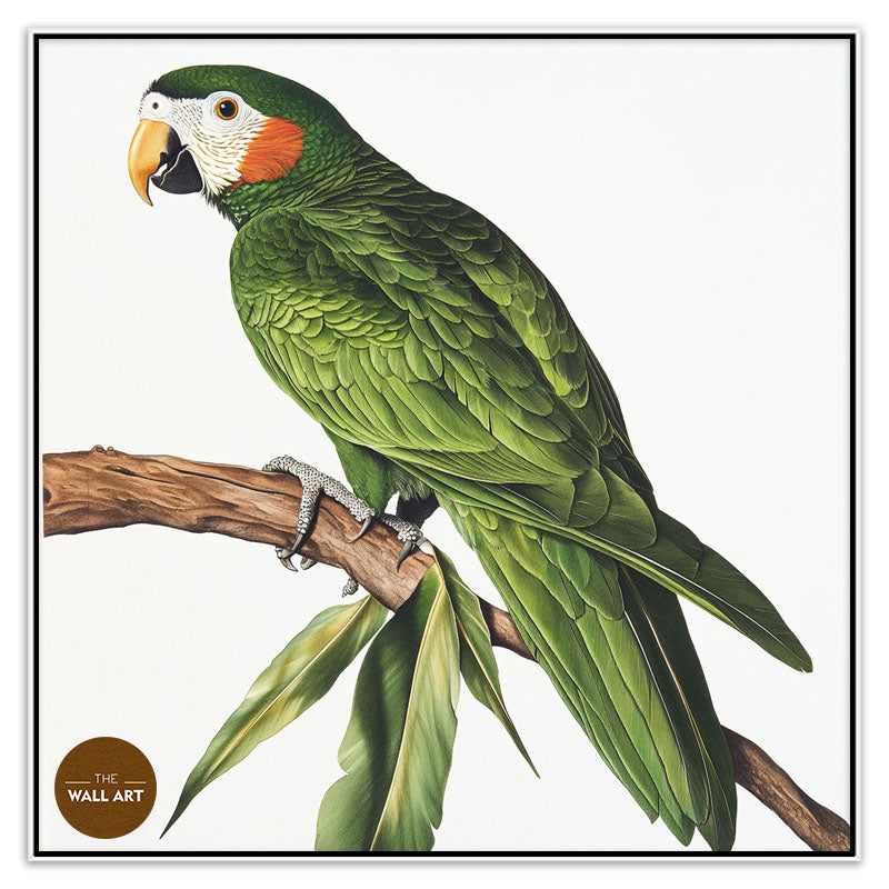 GREEN PARROT ON BRANCH