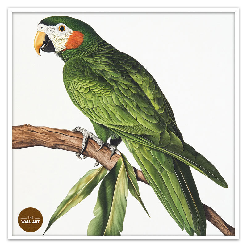 GREEN PARROT ON BRANCH