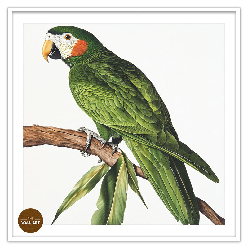 GREEN PARROT ON BRANCH