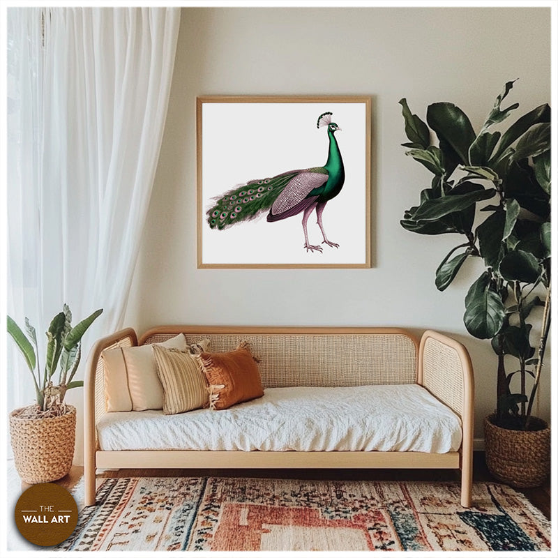 GREEN PEACOCK