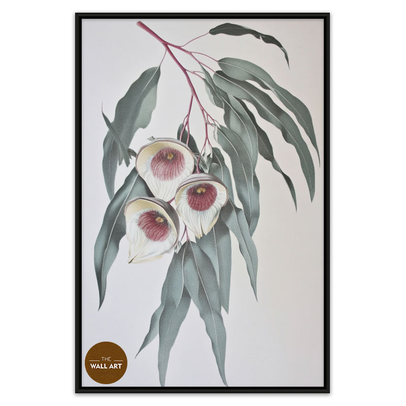 GUM LEAVES III