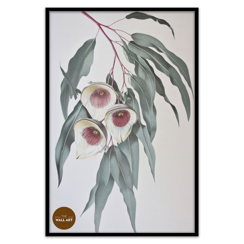 GUM LEAVES III