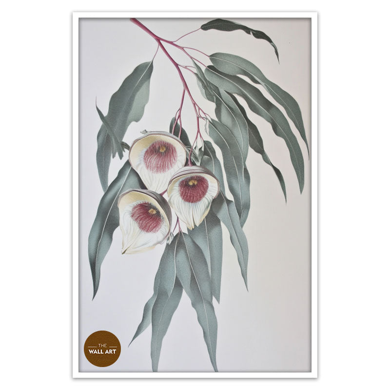 GUM LEAVES III