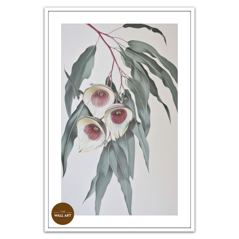GUM LEAVES III