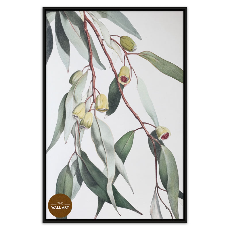GUM LEAVES II