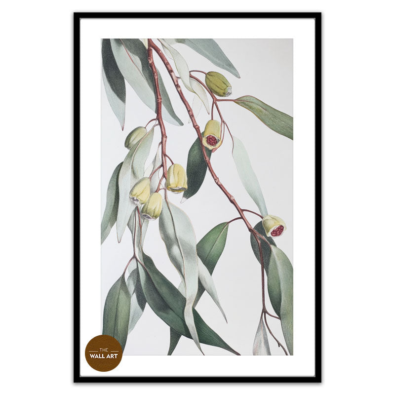 GUM LEAVES II