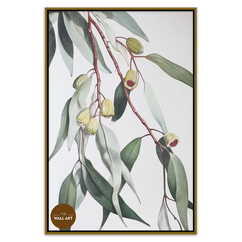 GUM LEAVES II