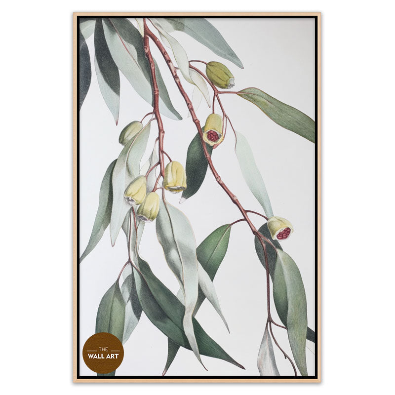 GUM LEAVES II